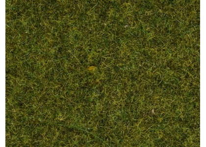 iarba de lunca - N/TT/H0 NOCH 08212