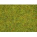 iarba verde deschis - N/TT/H0 NOCH 08310
