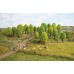 set arbori foioase - TT/H0 NOCH 26901