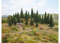 set arbori brazi - TT/H0 NOCH 26920